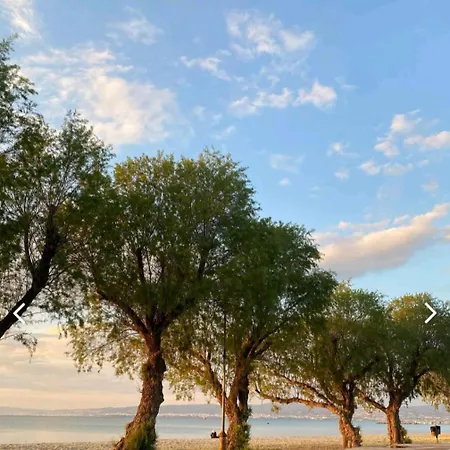 Kalendes * Néoi Epivátai