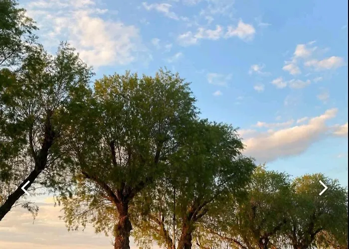 Kalendes * Néoi Epivátai